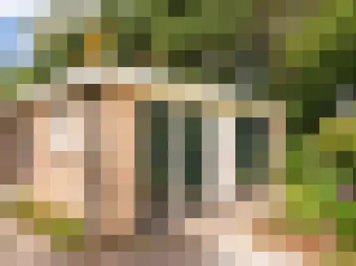 Luiveland 11 Bergen (NH) thumbnail 24