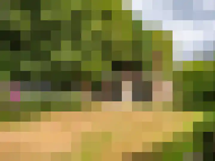 Luiveland 11 Bergen (NH) thumbnail 26