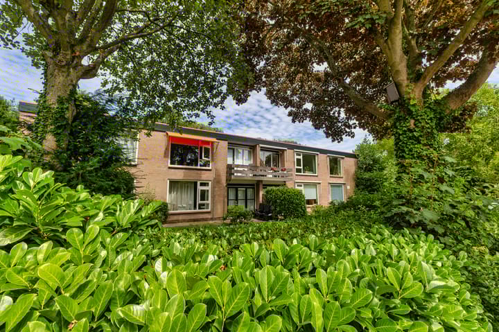 Luiveland 13A en Bergen (NH) foto