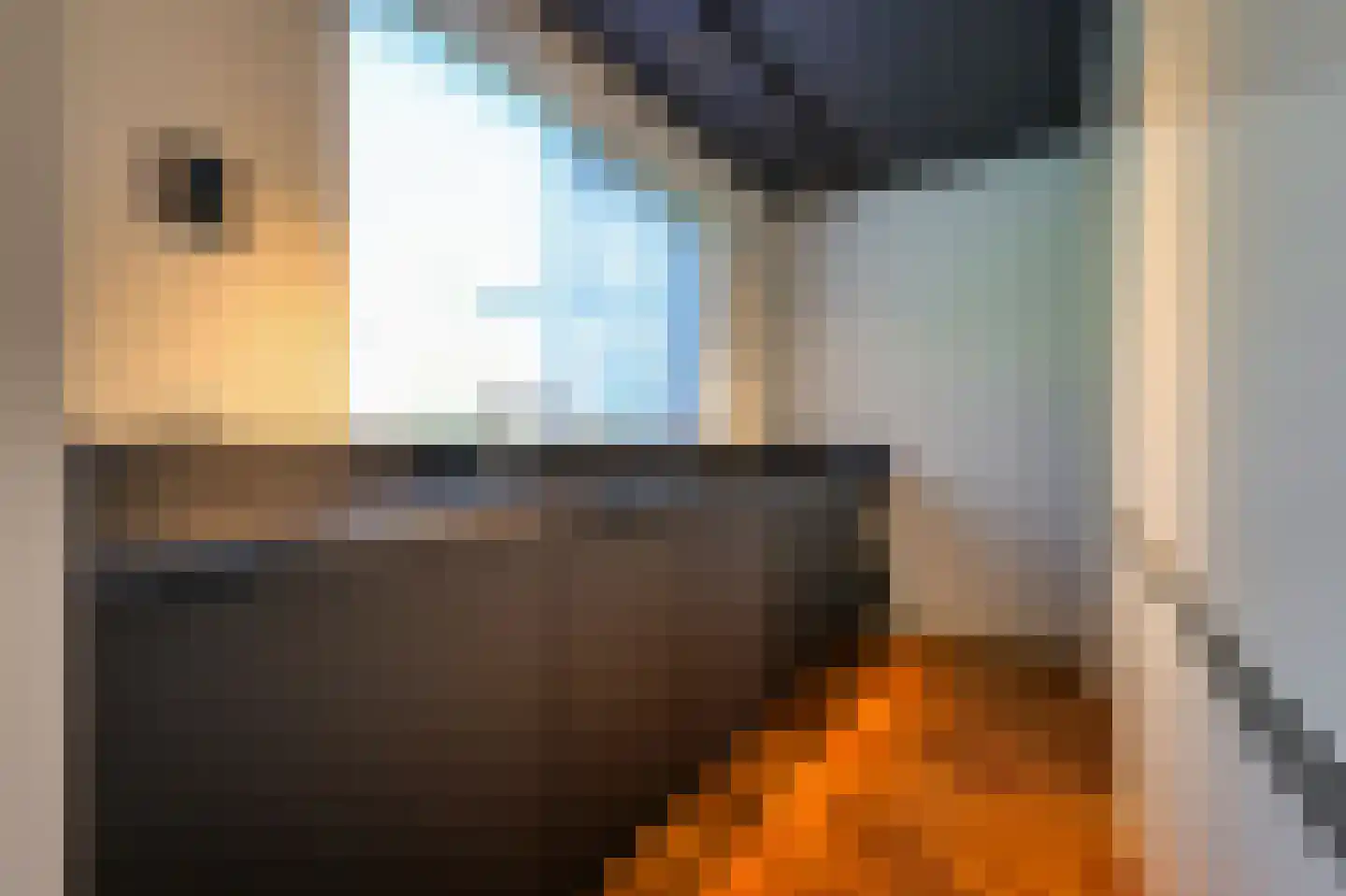 Luiveland 15 Bergen (NH) thumbnail 10