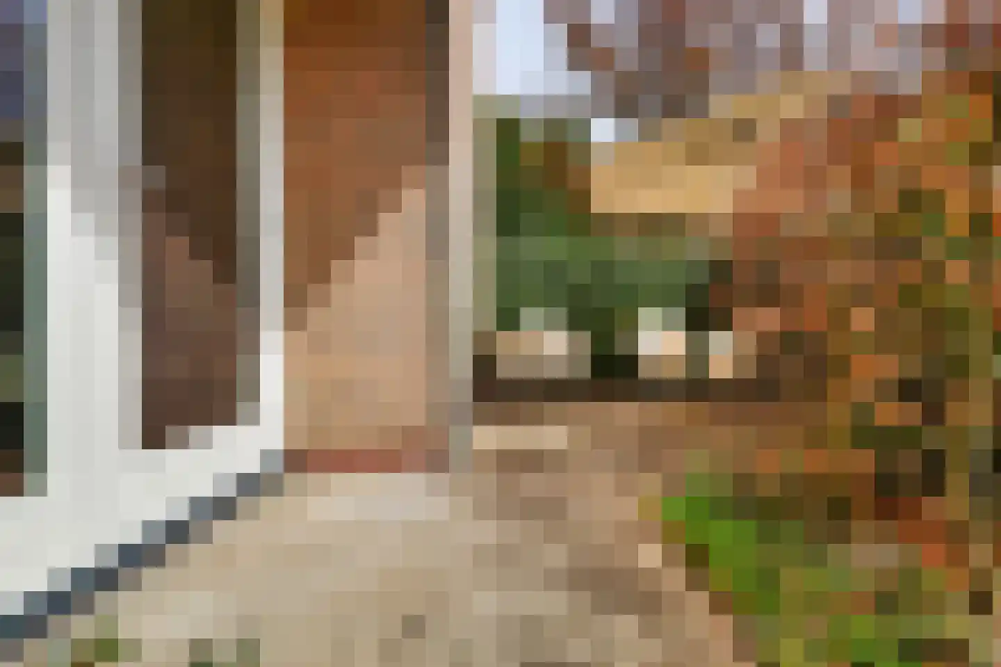 Luiveland 15 Bergen (NH) thumbnail 25