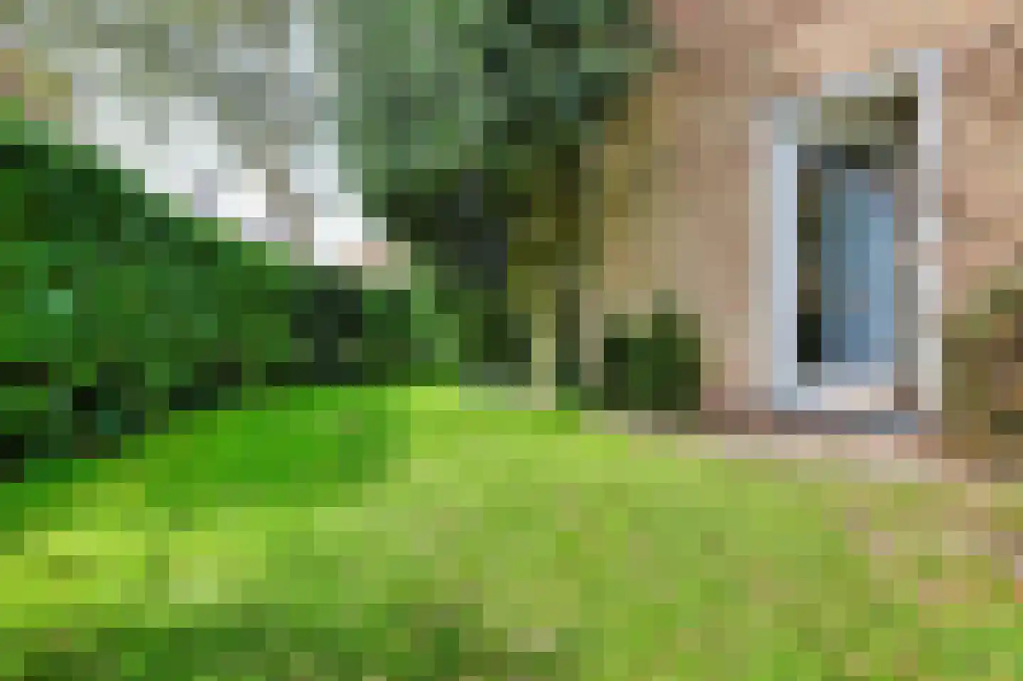 Luiveland 15 Bergen (NH) thumbnail 27