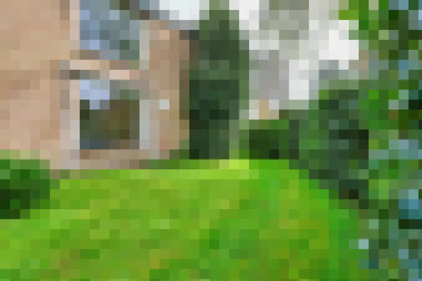 Luiveland 15 Bergen (NH) thumbnail 28
