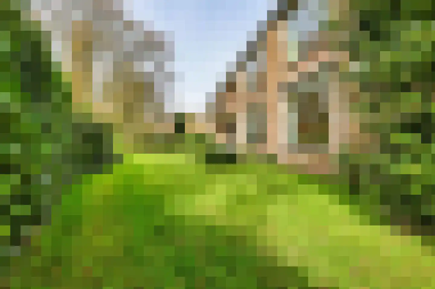 Luiveland 15 Bergen (NH) thumbnail 29