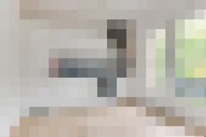 Luiveland 23 A Bergen (NH) thumbnail 13