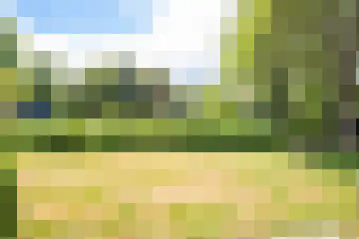 Luiveland 27 Bergen (NH) thumbnail 15