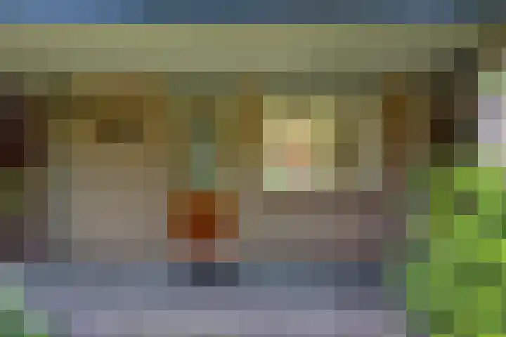 Luiveland 27 Bergen (NH) thumbnail 22