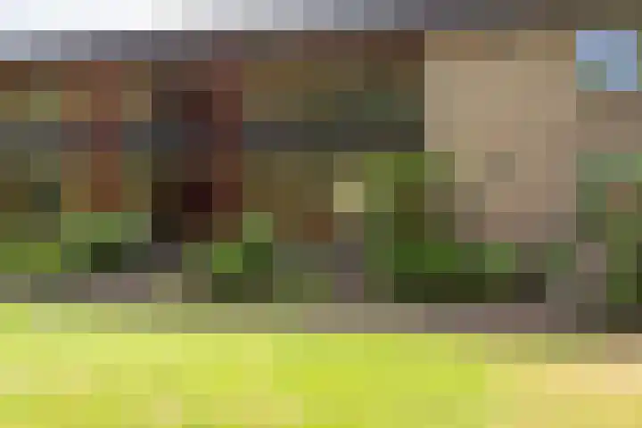 Luiveland 27 Bergen (NH) thumbnail 23