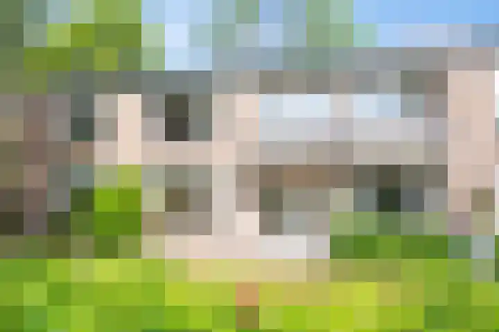 Luiveland 27 Bergen (NH) thumbnail 29