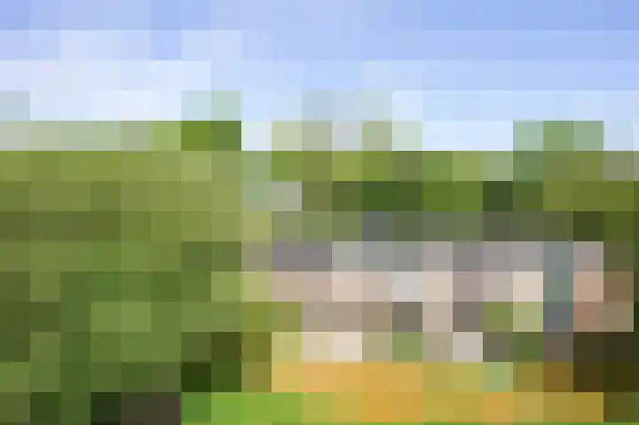 Luiveland 27 Bergen (NH) thumbnail 4