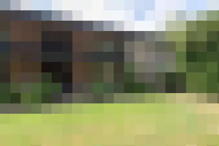 Luiveland 27 Bergen (NH) thumbnail 5