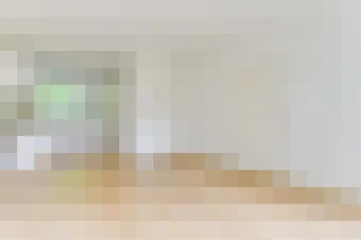 Luiveland 27 Bergen (NH) thumbnail 7