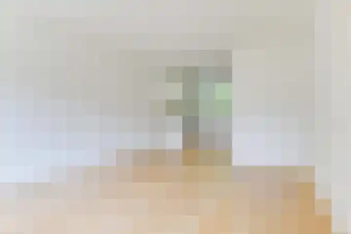 Luiveland 27 Bergen (NH) thumbnail 8