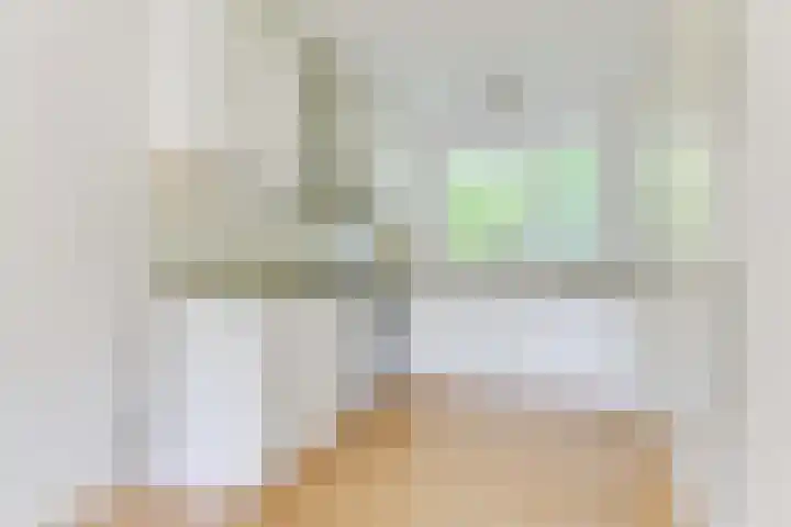 Luiveland 27 Bergen (NH) thumbnail 9