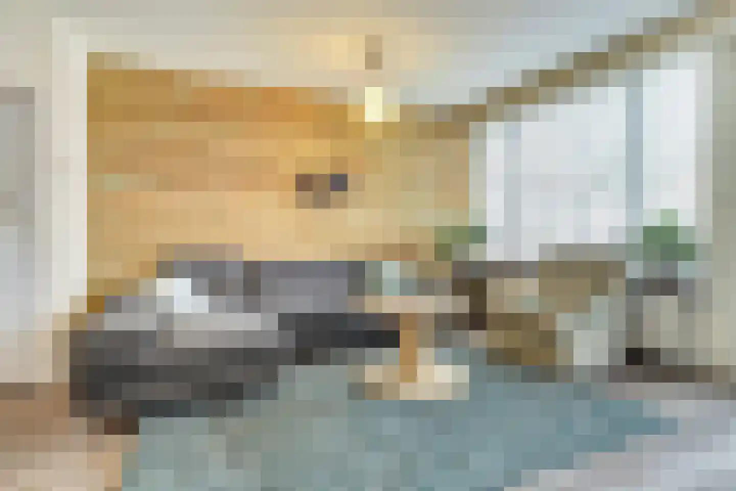 Luiwerk 21 Bergeijk thumbnail 10
