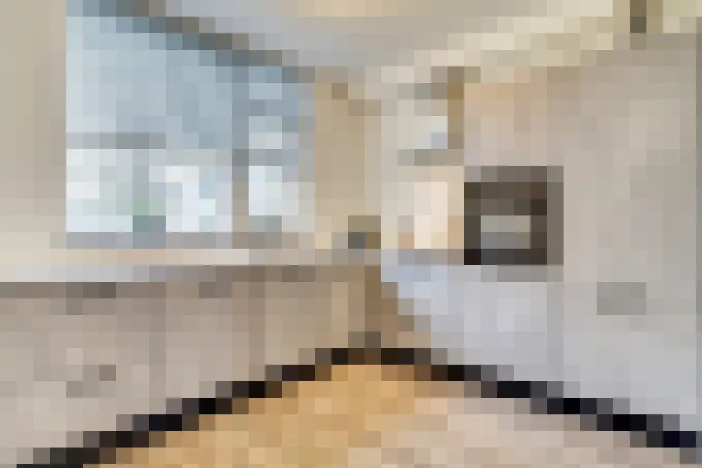 Luiwerk 21 Bergeijk thumbnail 19