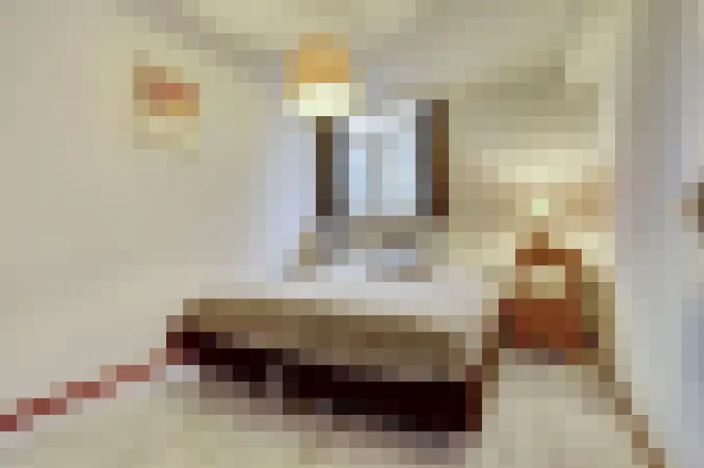 Luiwerk 21 Bergeijk thumbnail 25