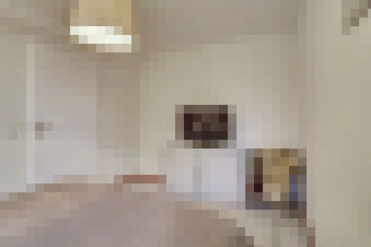Luiwerk 21 Bergeijk thumbnail 26