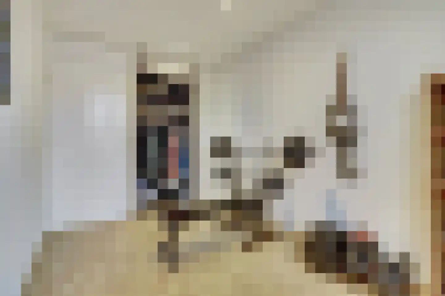 Luiwerk 21 Bergeijk thumbnail 28