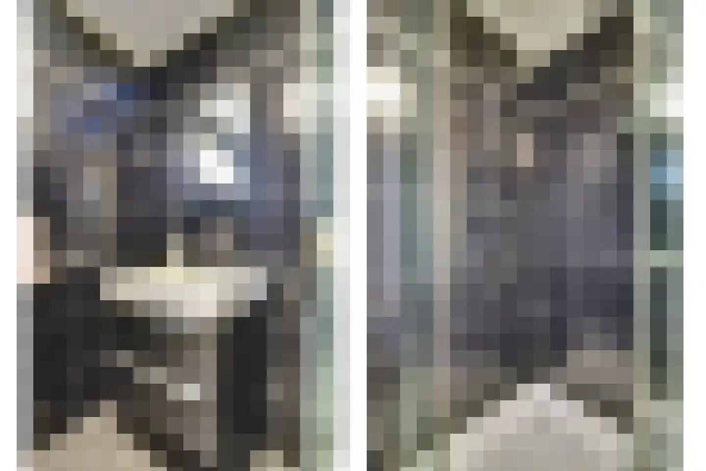 Luiwerk 21 Bergeijk thumbnail 31