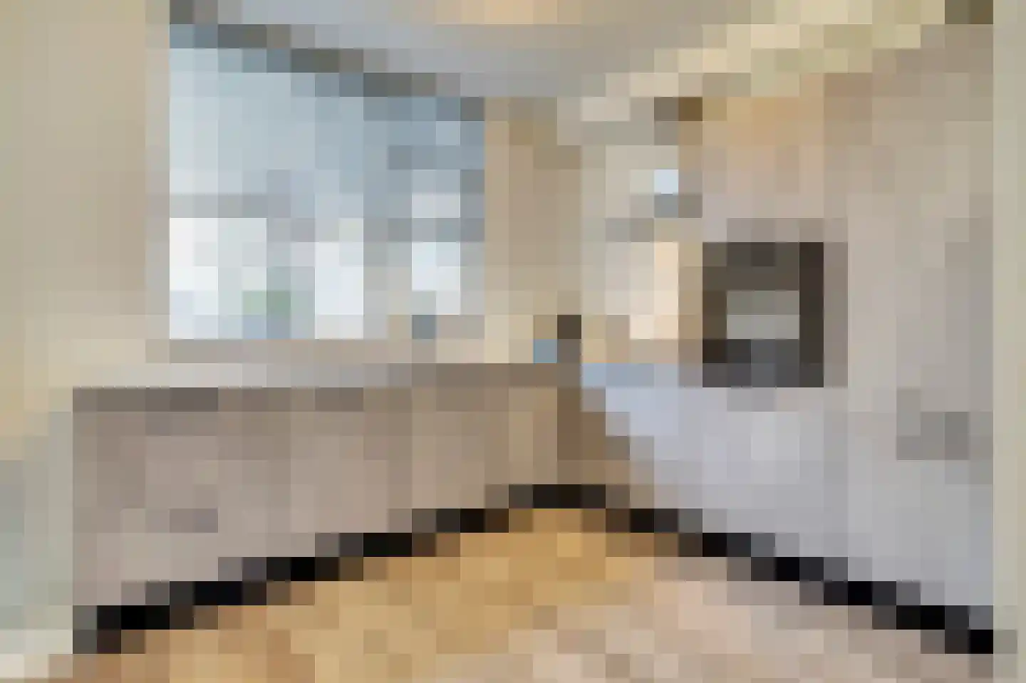 Luiwerk 21 Bergeijk thumbnail 4