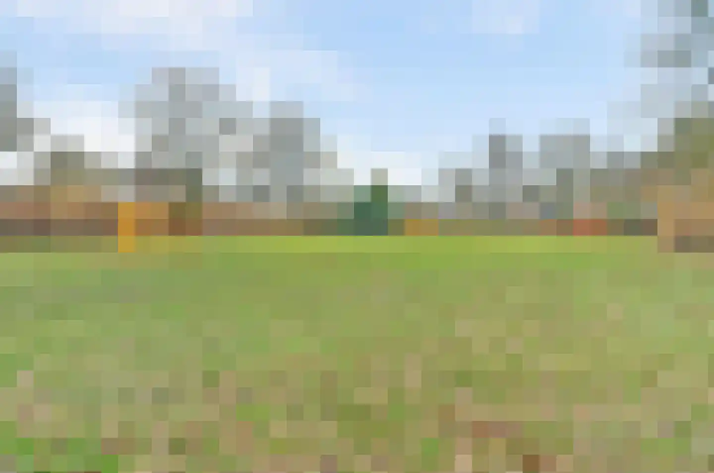 Luiwerk 21 Bergeijk thumbnail 40