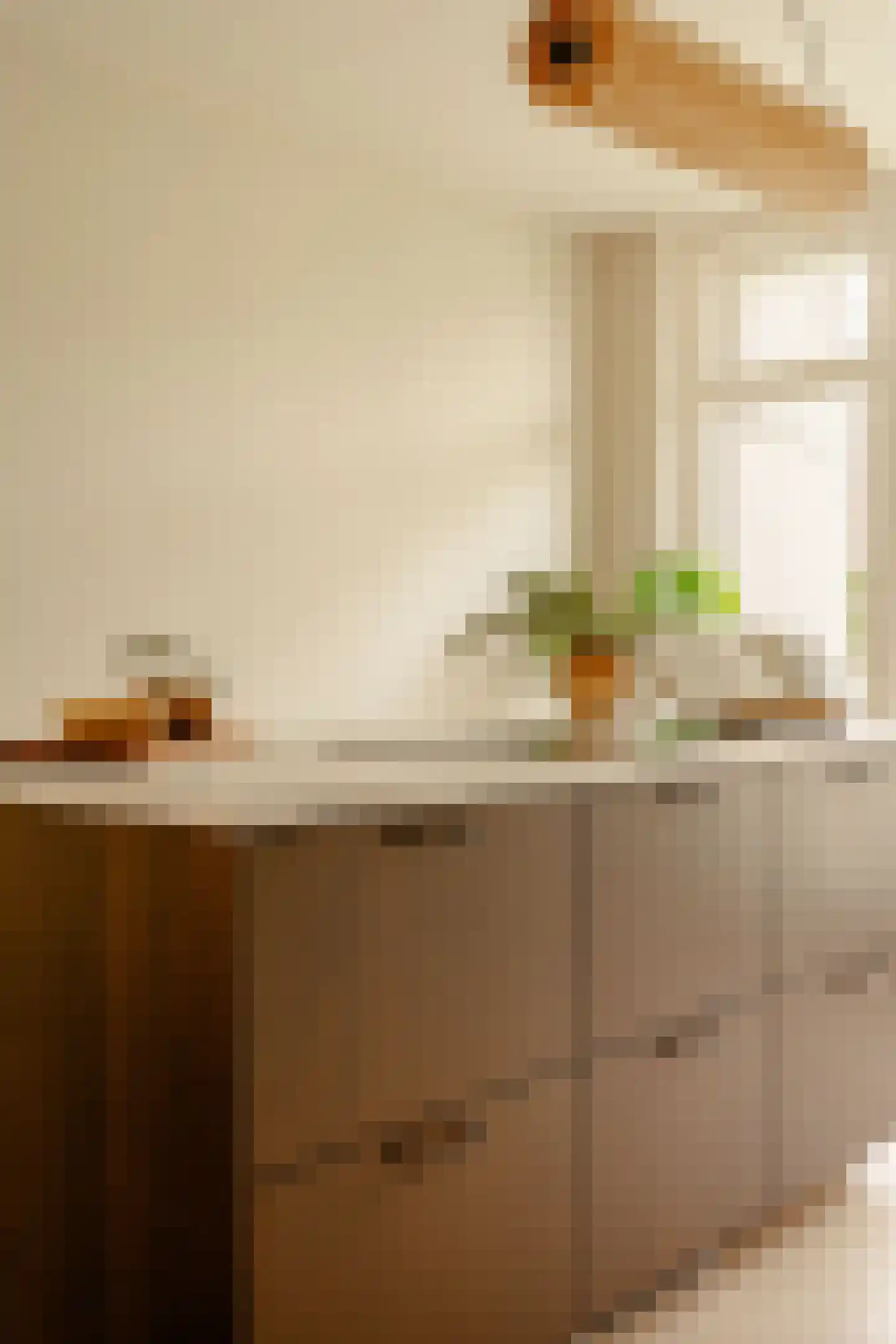 Lumeijstraat 13 1 Amsterdam thumbnail 10