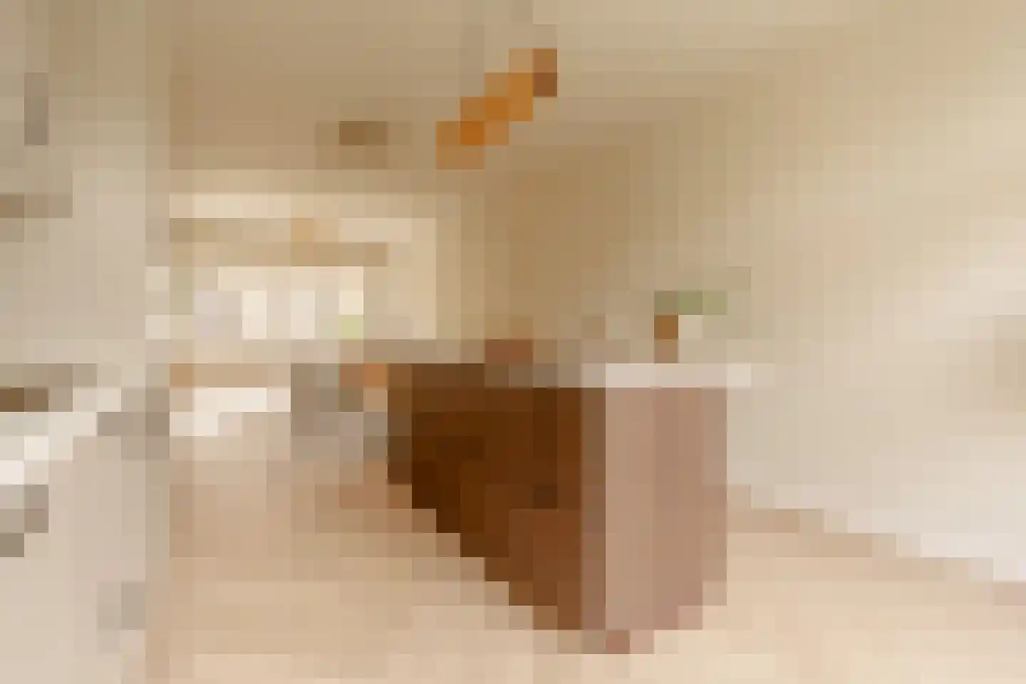 Lumeijstraat 13 1 Amsterdam thumbnail 8