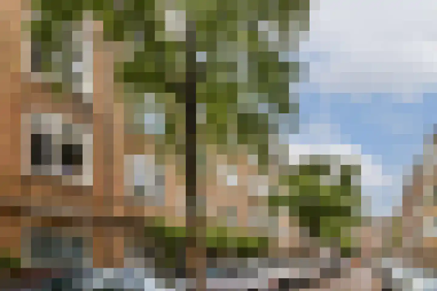 Lumeijstraat 18 3 Amsterdam thumbnail 22