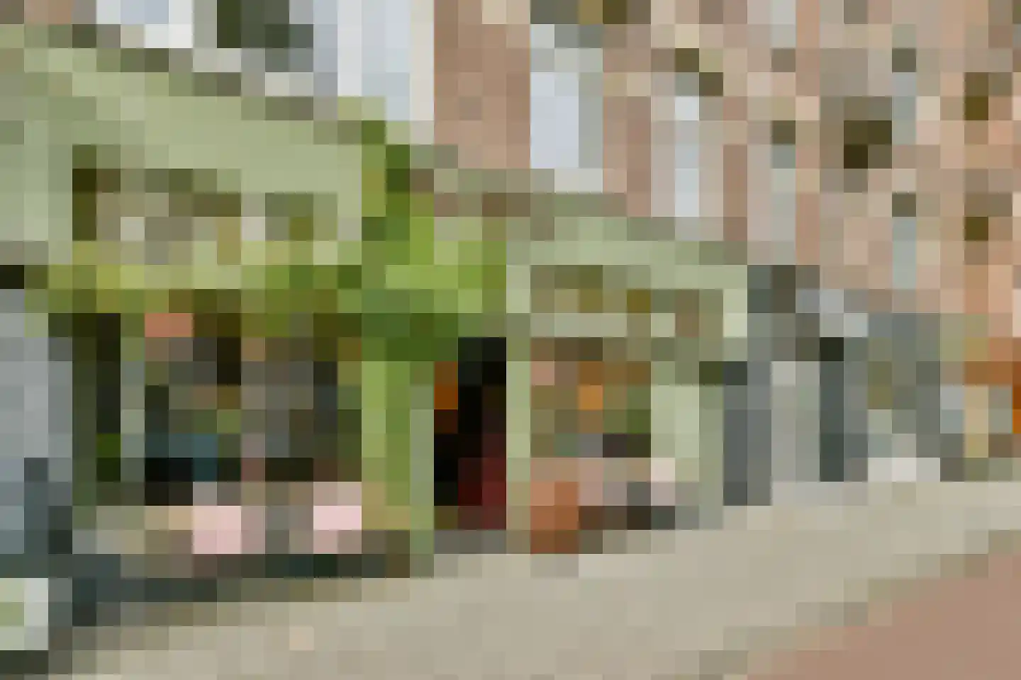 Lumeijstraat 18 3 Amsterdam thumbnail 23