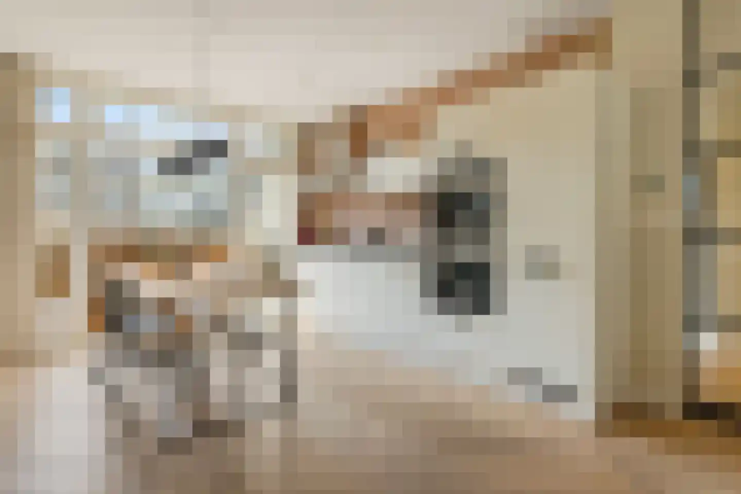 Lumeijstraat 21 2 Amsterdam thumbnail 12