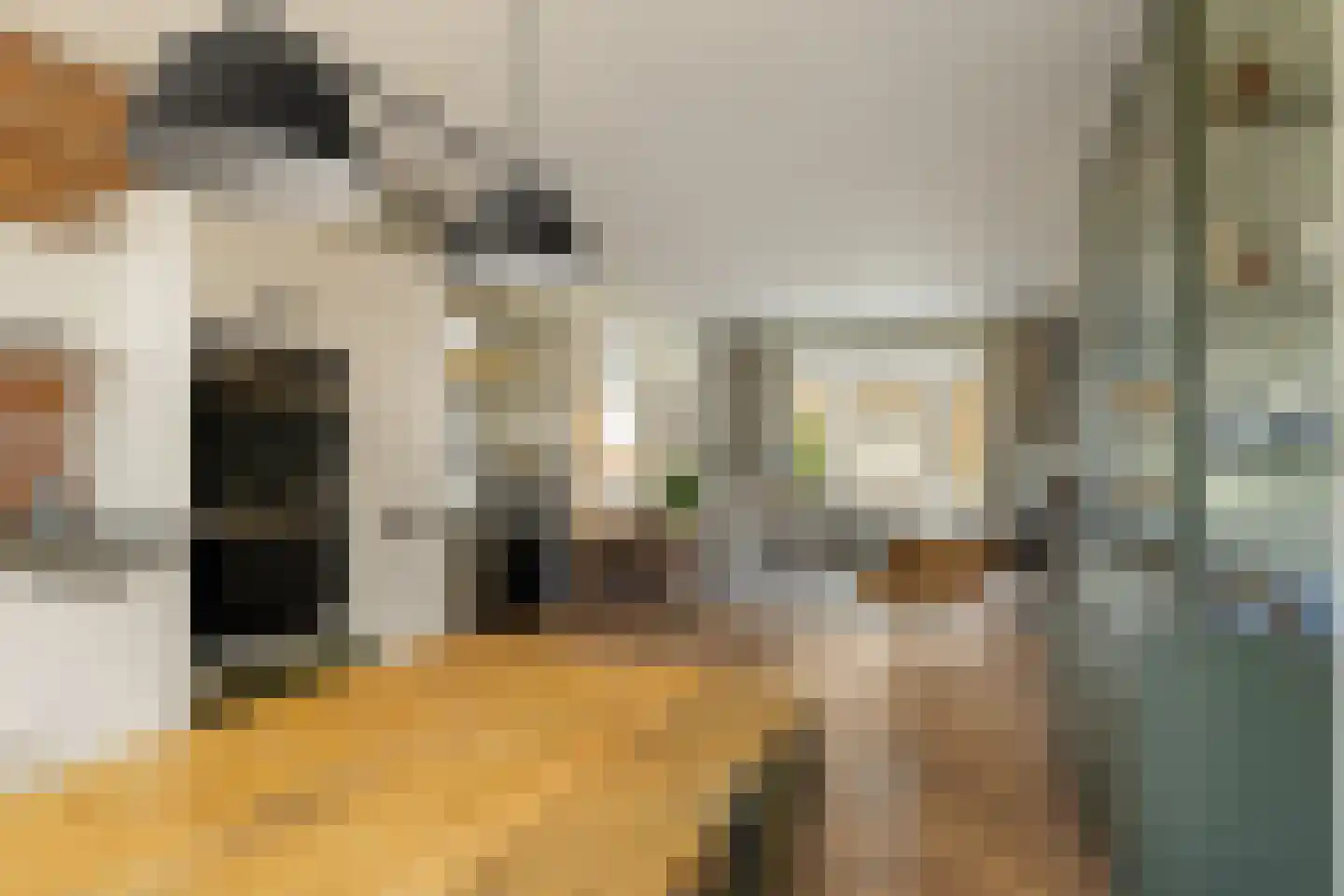 Lumeijstraat 21 2 Amsterdam thumbnail 14