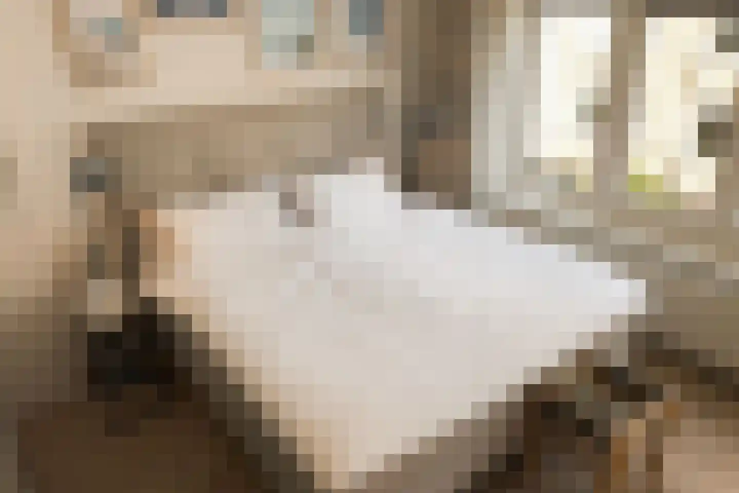 Lumeijstraat 21 2 Amsterdam thumbnail 16