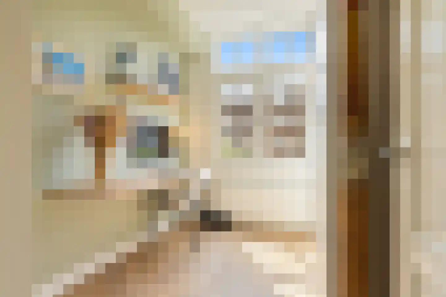 Lumeijstraat 21 2 Amsterdam thumbnail 19