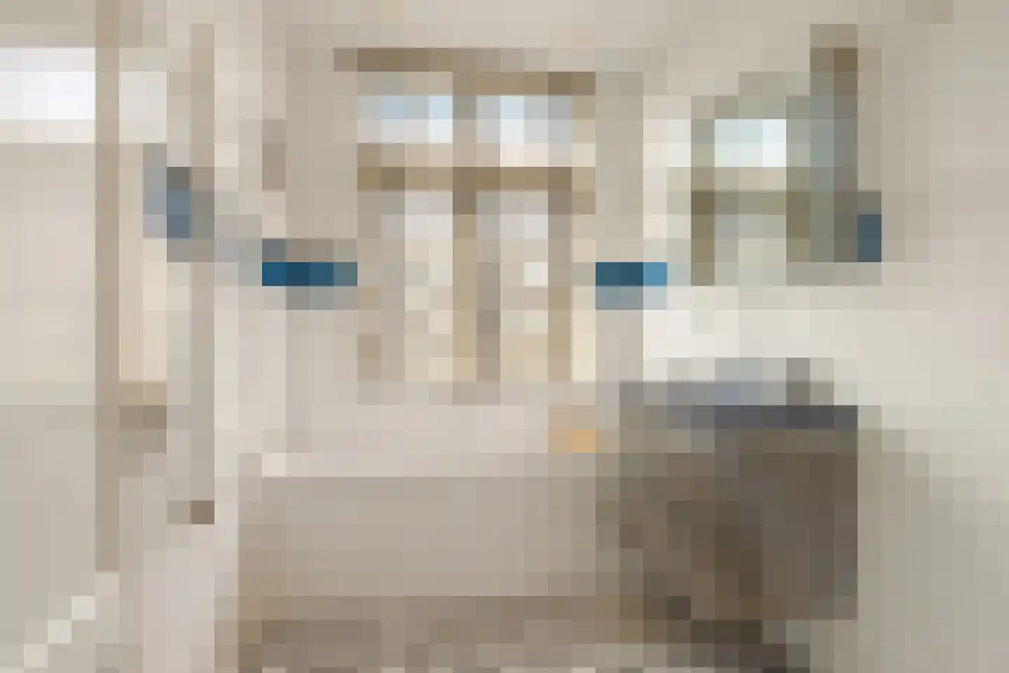 Lumeijstraat 21 2 Amsterdam thumbnail 23