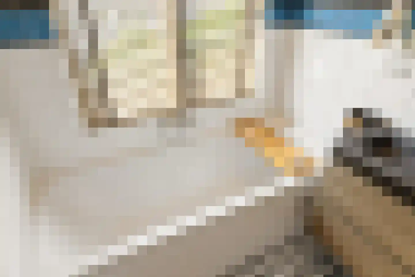 Lumeijstraat 21 2 Amsterdam thumbnail 24