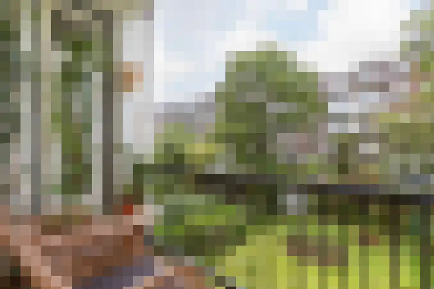 Lumeijstraat 31 2 Amsterdam thumbnail 17