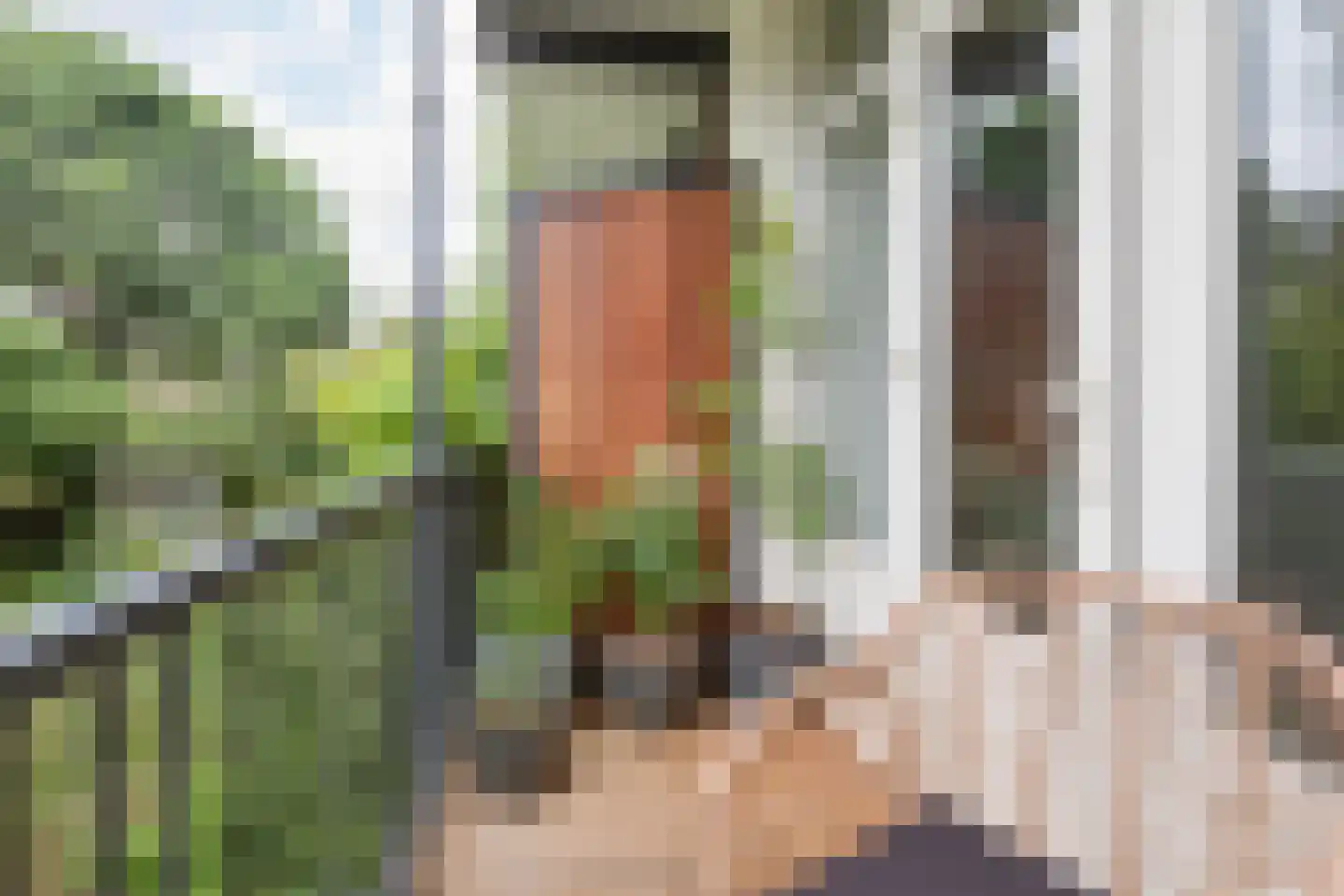 Lumeijstraat 31 2 Amsterdam thumbnail 18