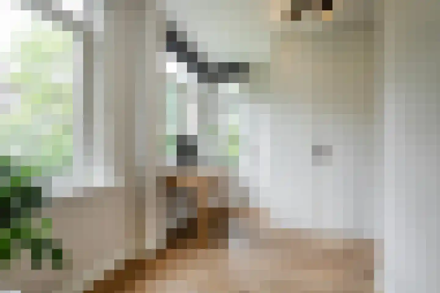 Lumeijstraat 31 2 Amsterdam thumbnail 27