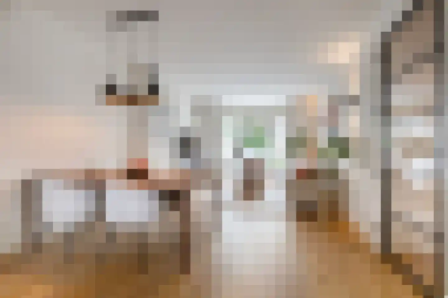 Lumeijstraat 31 2 Amsterdam thumbnail 5