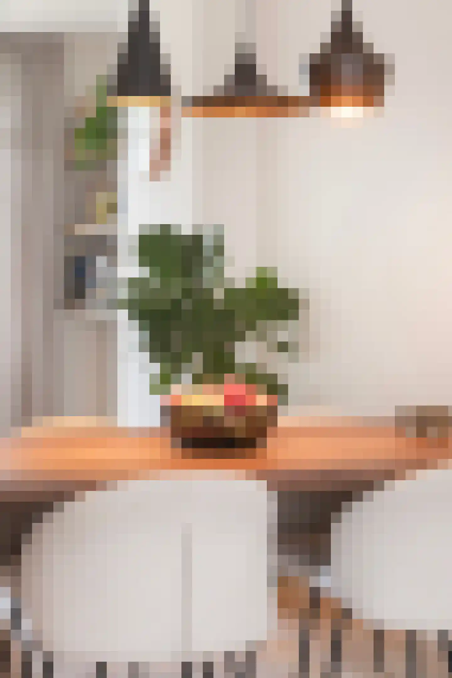 Lumeijstraat 31 2 Amsterdam thumbnail 9