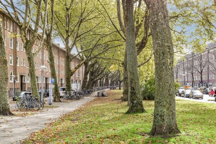 Lumeijstraat 41 3 Amsterdam thumbnail 25