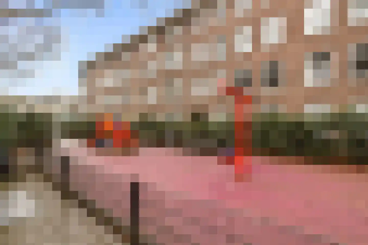 Lumeijstraat 48 H Amsterdam thumbnail 16