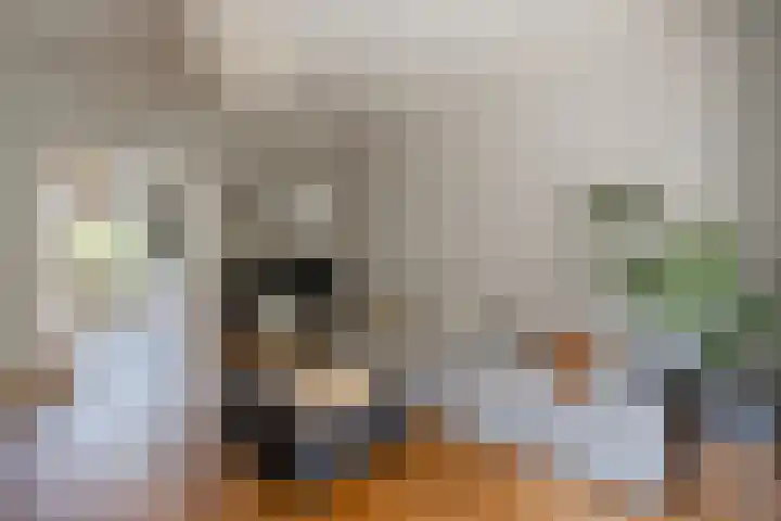 Lumeijstraat 50 2 Amsterdam thumbnail 5