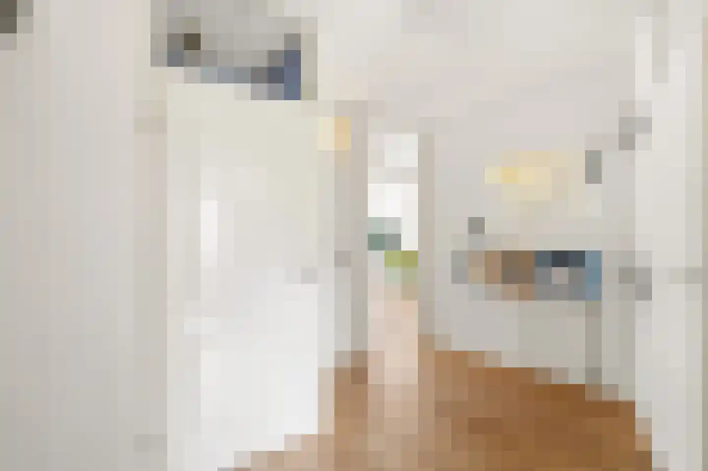 Lumeijstraat 51 Amsterdam thumbnail 8