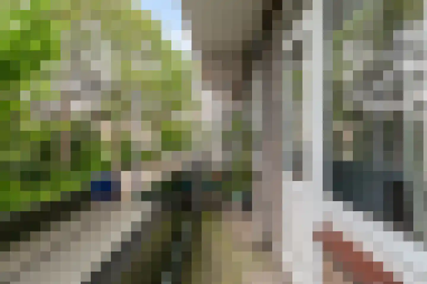 Lumeystraat 1 B Rotterdam thumbnail 19