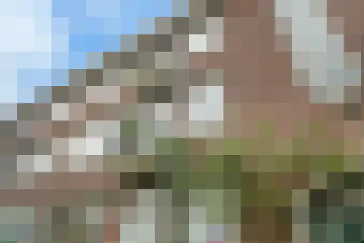 Lumeystraat 15 02L Rotterdam thumbnail 23