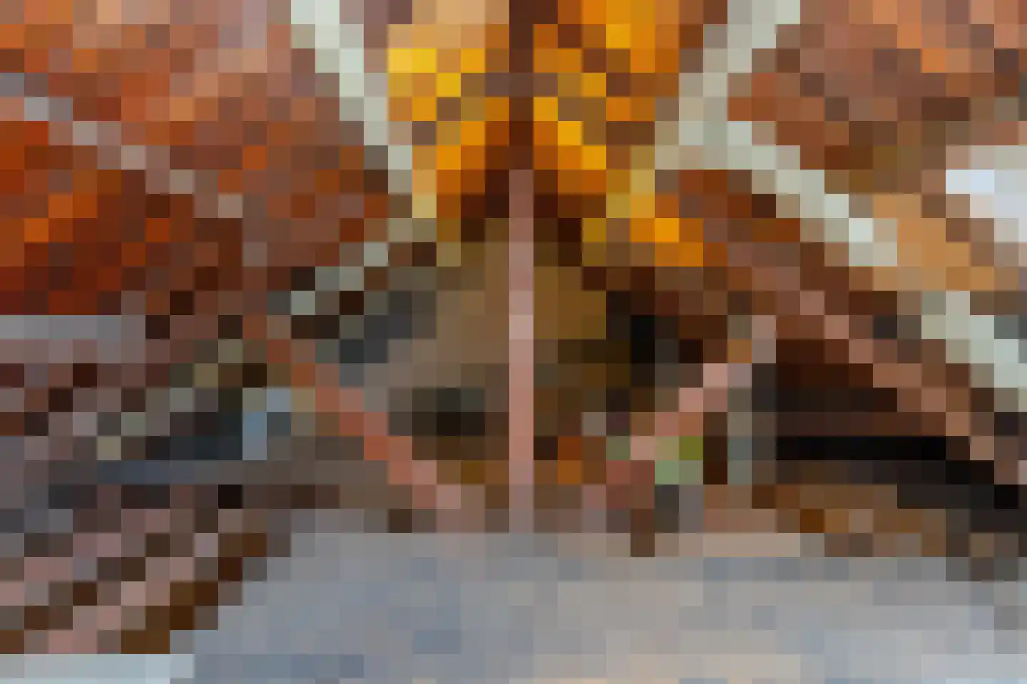 Lumeystraat 26 B Rotterdam thumbnail 43