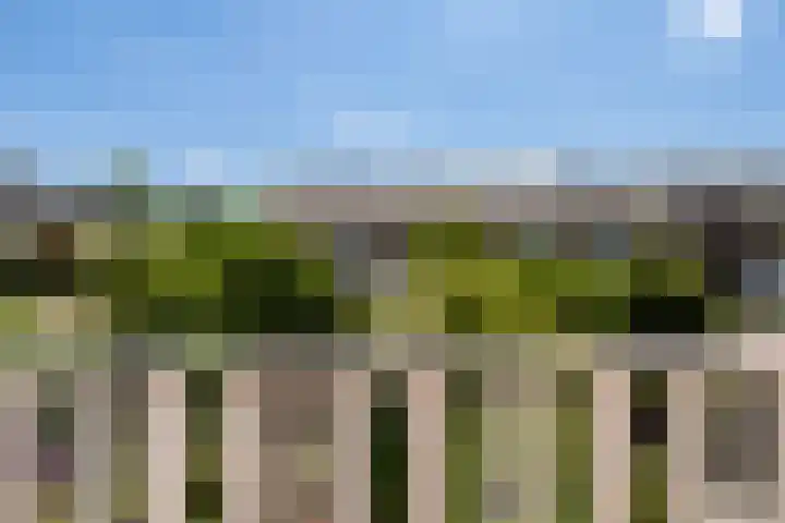 Lumeystraat 29 Zoetermeer thumbnail 12