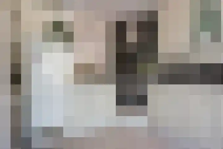 Lumeystraat 29 Zoetermeer thumbnail 17